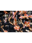 Хлопок-рогожка костюмно-плательный цветы на черном ISF-D50 9052256