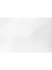 ОТРЕЗ 2 М Футер тонкий хлопковый OFF-WHITE петля Белый FRM (4/1) 26062321-10