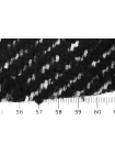 Пальтовая шерсть диагональная дублированная Черно-белая BRS H57 FF66 23082454