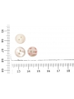 Пуговица рубашечная перламутр Молочно-розовая 10 мм С-3 19092438