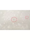 Кружево хлопковое Max Mara Молочное MM H00 FF01 3102556