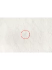 Хлопок костюмный фактурный с кружевом Молочный BNC H00 FF77 21052504