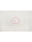 Хлопок костюмный фактурный с кружевом Молочный BNC H00 FF77 21052504