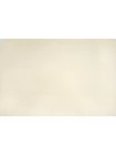 Кружево хлопковое MAX MARA Молочное ММ H35 O22 14042517