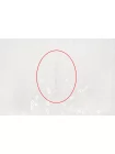 Кружево хлопковое с пайетками Молочное IDT H001 FF11 19052645