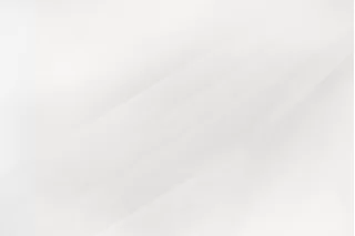 Дублерин плательно-блузочный Hansel Белый SF H67/6 OO10 14012626