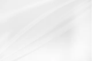 Подкладочная вискоза Белая SF H50/1 U11 14012644