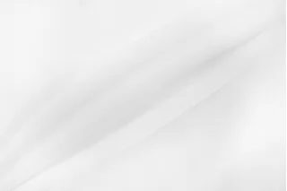 Льняная вуаль Белая BNC H15/1 F30 25032658