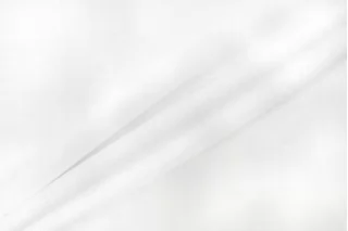 Лён рубашечно-плательный Белый BNC Н15/1 F30 25032659