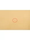 Костюмная шерсть Разбелённая желто-песочная BNC H001 FF22 17042602