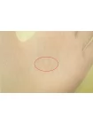 Крешированный шифон шелковый MAX MARA Лаймовый щербет H003 FF33 30092554