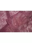 Кружево хлопковое Приглушённо-сливовое TRC H35/1 O44 12122558