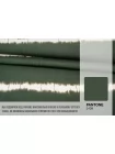 Хлопок рубашечно-плательный MAX MARA Зелёный в бежевую полоску MM H9/2 A77 20042642