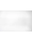 Шитье хлопковое MAX MARA  Молочно-белое MM H3/1 A00 21042605