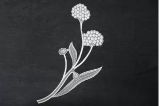 Пришивной элемент  белый ST0 17022652