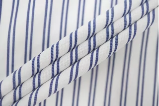 Рубашечный хлопок жаккардовый Бело-синий в полоску FRM H5 A40 13022629